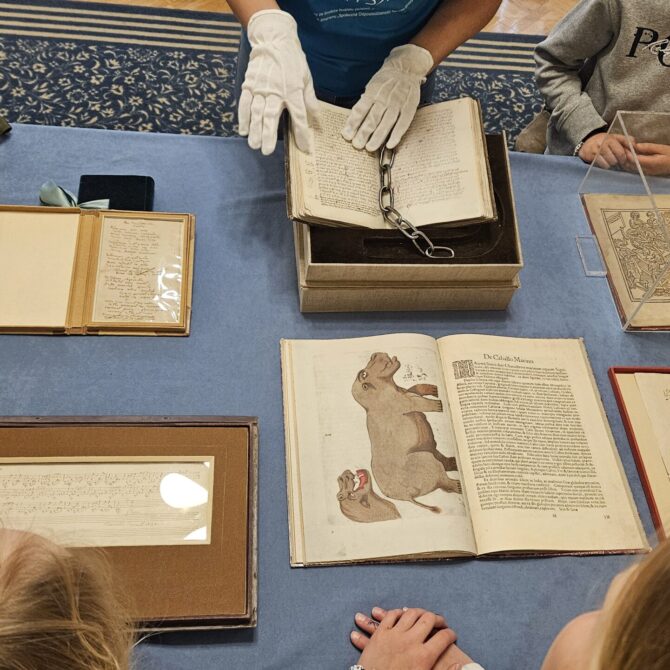 Select the Poznań Festival of Science and Art 2025 at the Działyński Palace.