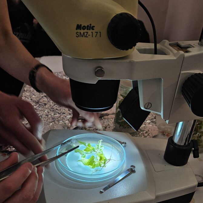 Nauka w Pałacu Działyńskich – warsztaty w ramach Poznańskiego Festiwalu Nauki i Sztuki