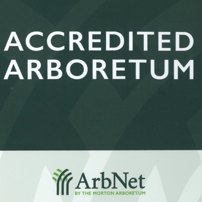Arboretum Kórnickie pierwszym akredytowanym arboretum w Polsce w międzynarodowej sieci ArbNet